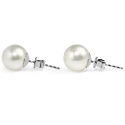 18ct South Sea 11.5m Pearl Stud Earrings