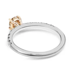 18ct White and Rose Gold Argyle Champagne Diamond Solitaire Ring