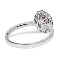 18ct White Gold All Sapphire Halo Ring