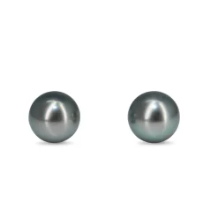 18ct White Gold 8.5mm Black Tahitian Pearl Stud Earrings