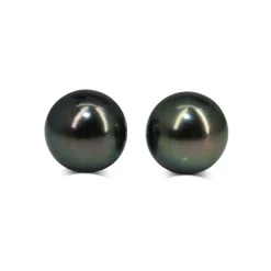 14ct White Gold 10mm Tahitian Pearl Stud Earrings