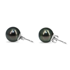 14ct White Gold 10mm Tahitian Pearl Stud Earrings