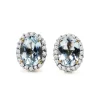 9ct Yellow and White Gold Aquamarine and Diamond Halo Earrings