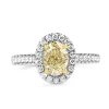 18ct Yellow and White Gold Oval Yellow Diamond Halo Ring