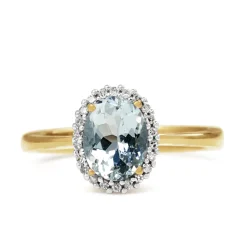 9ct Yellow and White Gold Aquamarine and Diamond Halo Ring