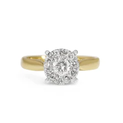 18ct Yellow and White Gold Diamond Halo Ring
