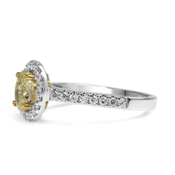 18ct Yellow and White Gold Yellow Oval Diamond Halo Ring
