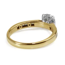 9ct Yellow and White Gold Diamond Halo Ring