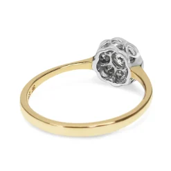 9ct Yellow and White Gold Diamond Daisy Ring