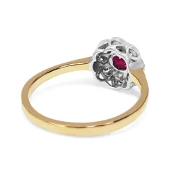 9ct Yellow and White Gold Ruby and Diamond Daisy Ring