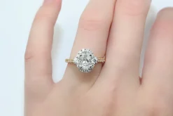 18ct Yellow and White Gold Oval Halo Diamond Ring