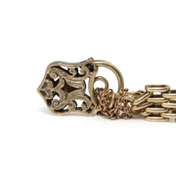 9ct Yellow Gold Gate Link Bracelet with Garnets