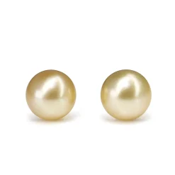 18ct Yellow Gold 12.7mm Golden South Sea Pearl Stud Earrings