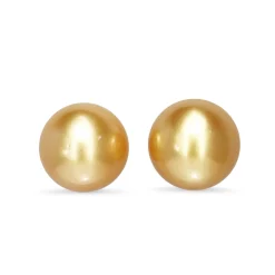 18ct Yellow Gold 11mm Golden South Sea Pearl Stud Earrings