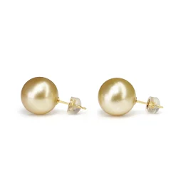 18ct Yellow Gold 12.7mm Golden South Sea Pearl Stud Earrings