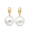 9ct Yellow Gold 12mm South Sea Pearl Earrings