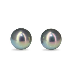 14ct Yellow Gold 14mm Tahitian Pearl Stud Earrings