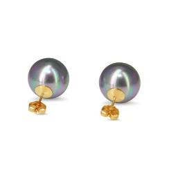 14ct Yellow Gold 14mm Tahitian Pearl Stud Earrings