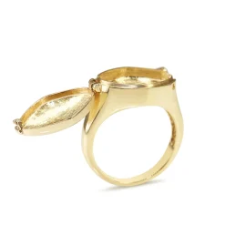 9ct Yellow Gold Poison Ring