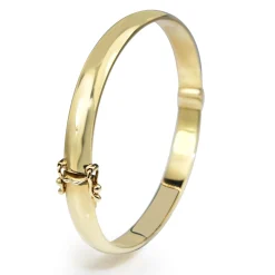 9ct Yellow Gold Solid Oval Hinged Bangle