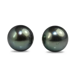 18ct Yellow Gold Tahitian 10mm Pearl Stud Earrings