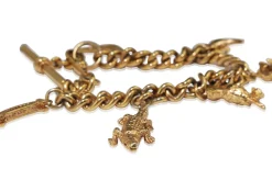 Gilt Charm Bracelet with Australian Charms