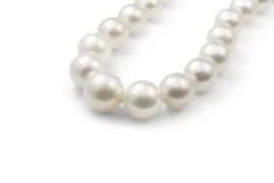 10mm - 14mm South Sea Pearl Necklace On 9ct Yellow Gold Clasp