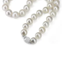11 - 13mm South Sea Pearl Strand Necklace on 9ct White Gold Clasp