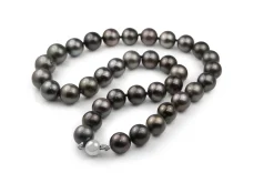 10 - 12mm Tahititan Pearl Necklace on 9ct White Gold Clasp