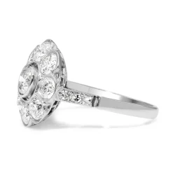 Platinum Diamond Daisy Ring